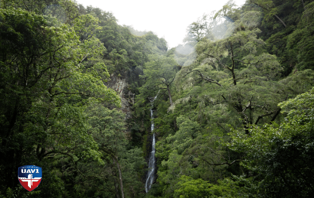 manu national park peru thermal surveillance